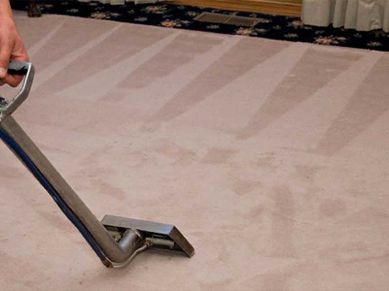 Carpet Cleaning in Northborough MA