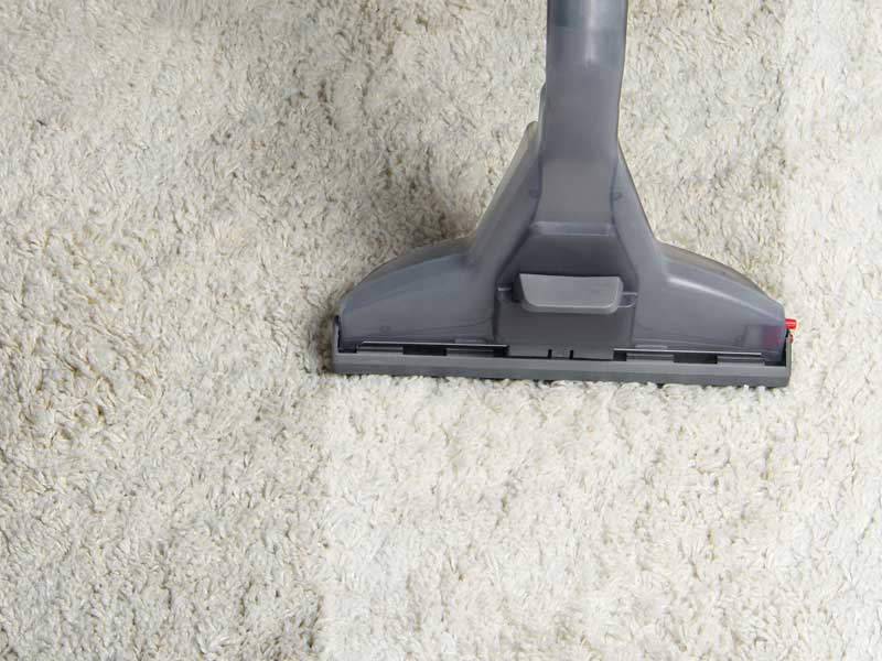 Carpet Cleaning in Sutton MA
